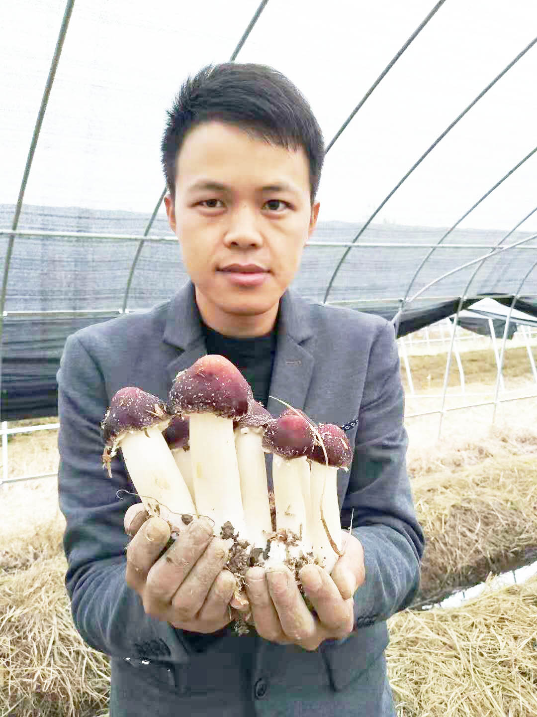 倪礼顺2.jpg