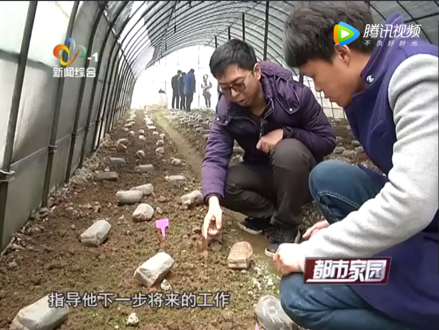 马晓龙.png