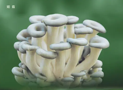 1664687281561.png
